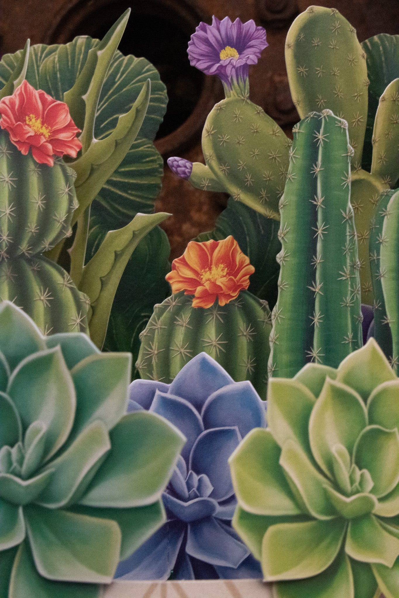 Life-Sized Paper Cactus Garden Pop-Up Botanical Creations