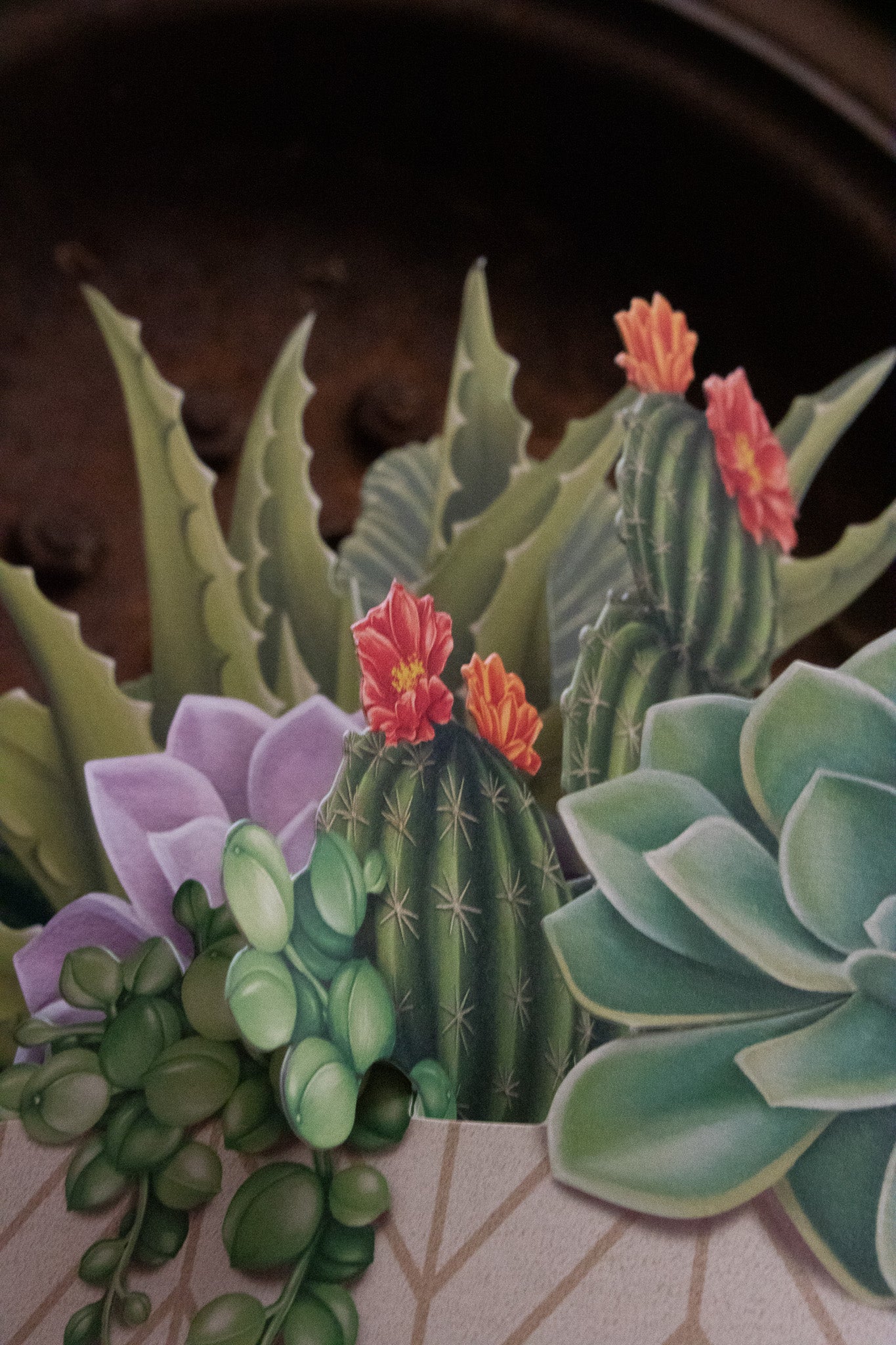 Life-Sized Paper Cactus Garden Pop-Up Botanical Creations