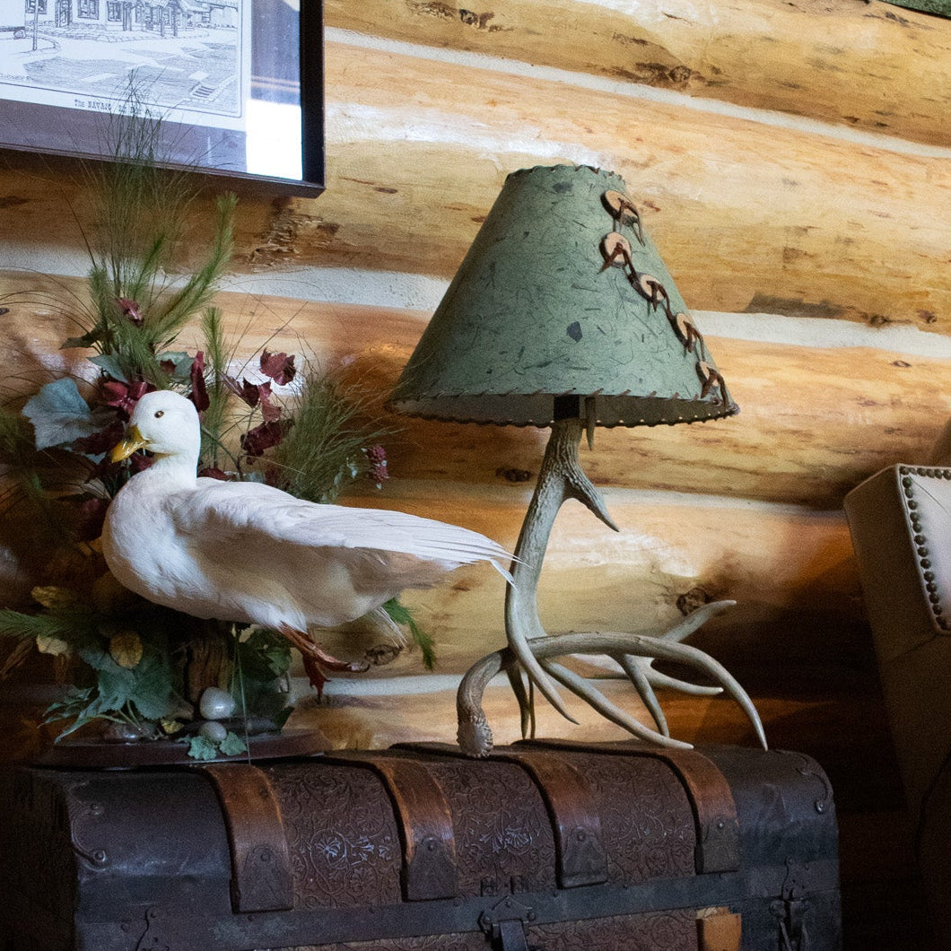 Classic Elk Horn Lamp Complemented by a Green Patterned Shade