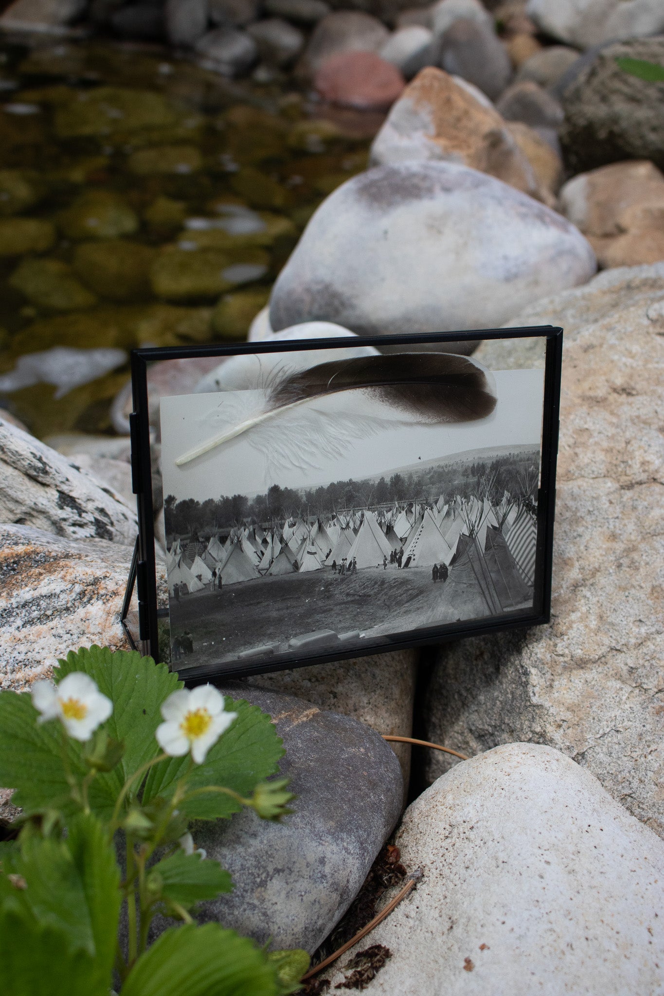 1937 Photograph of Indian Village & Teepees at Pendleton Round-Up in Oregon