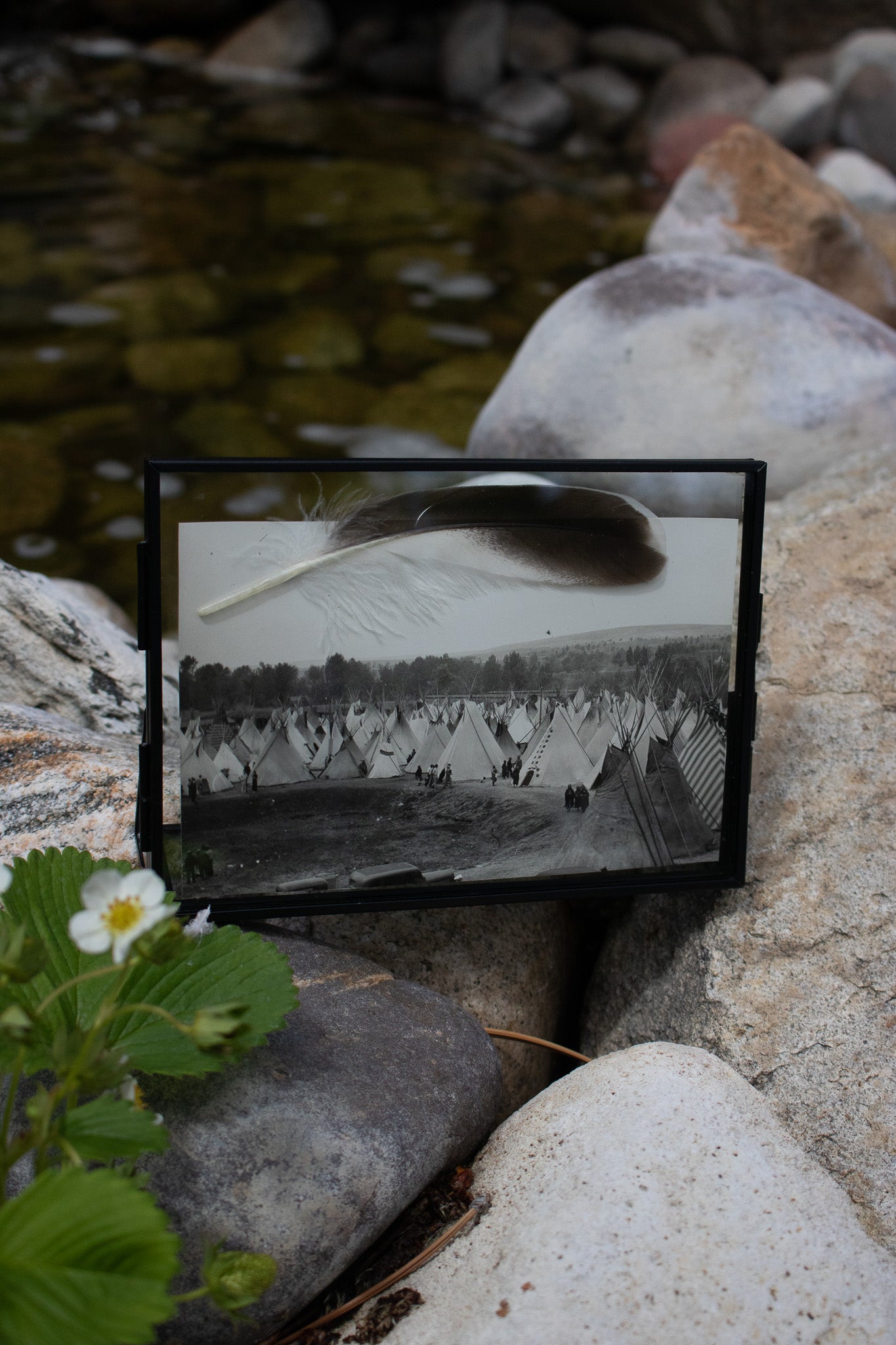 1937 Photograph of Indian Village & Teepees at Pendleton Round-Up in Oregon