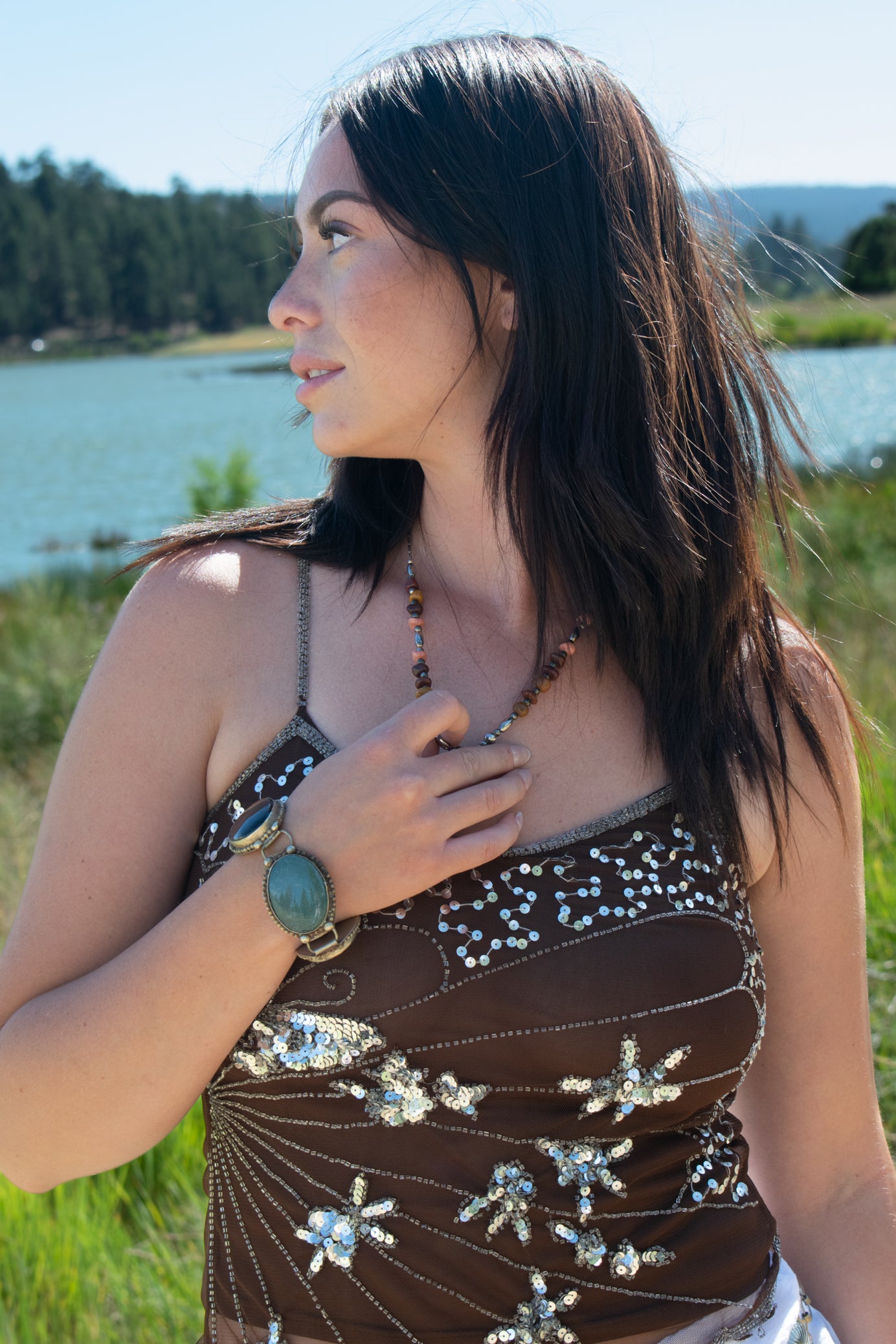 Vintage Brown with Silver Sequin Mesh Top