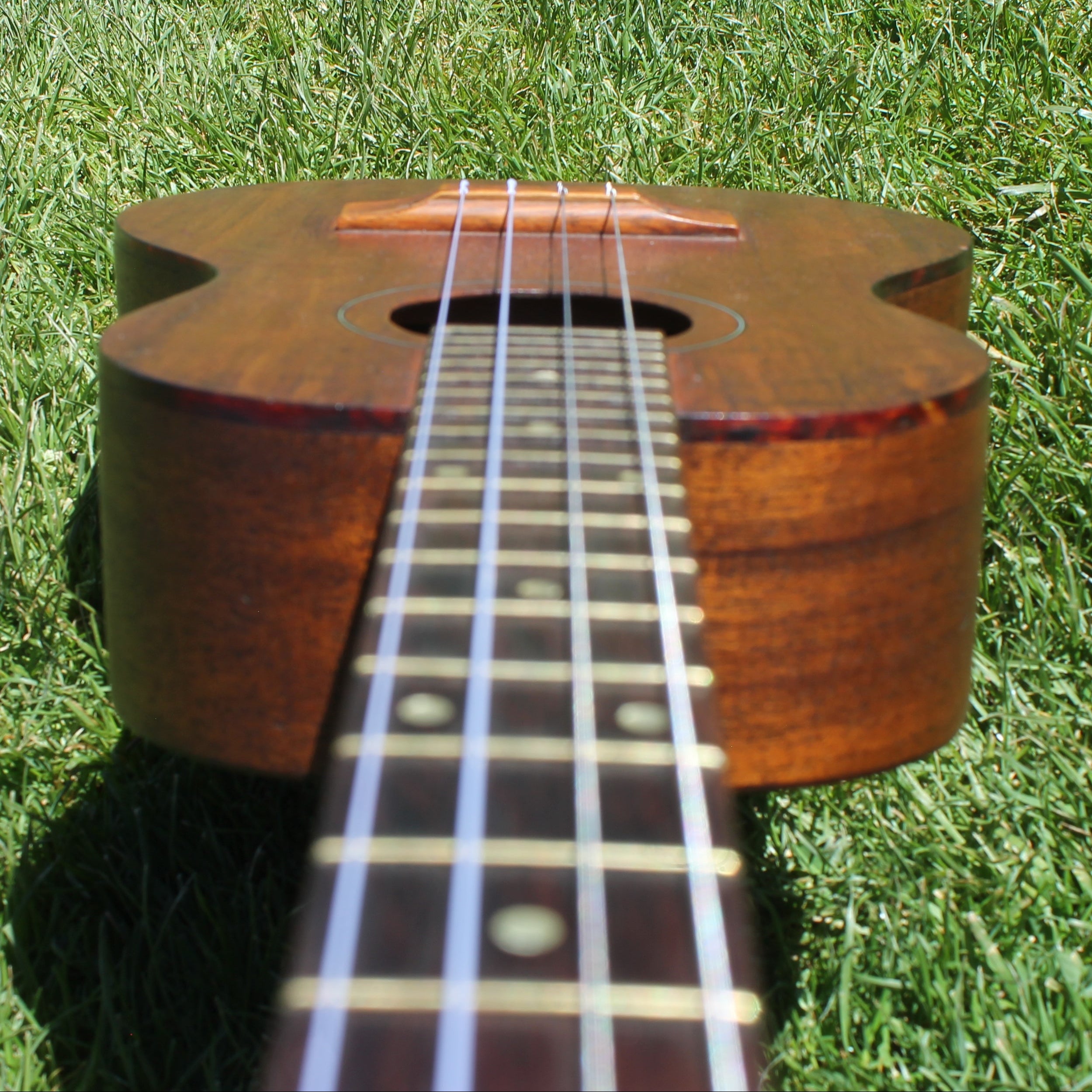 Baritone Ukulele