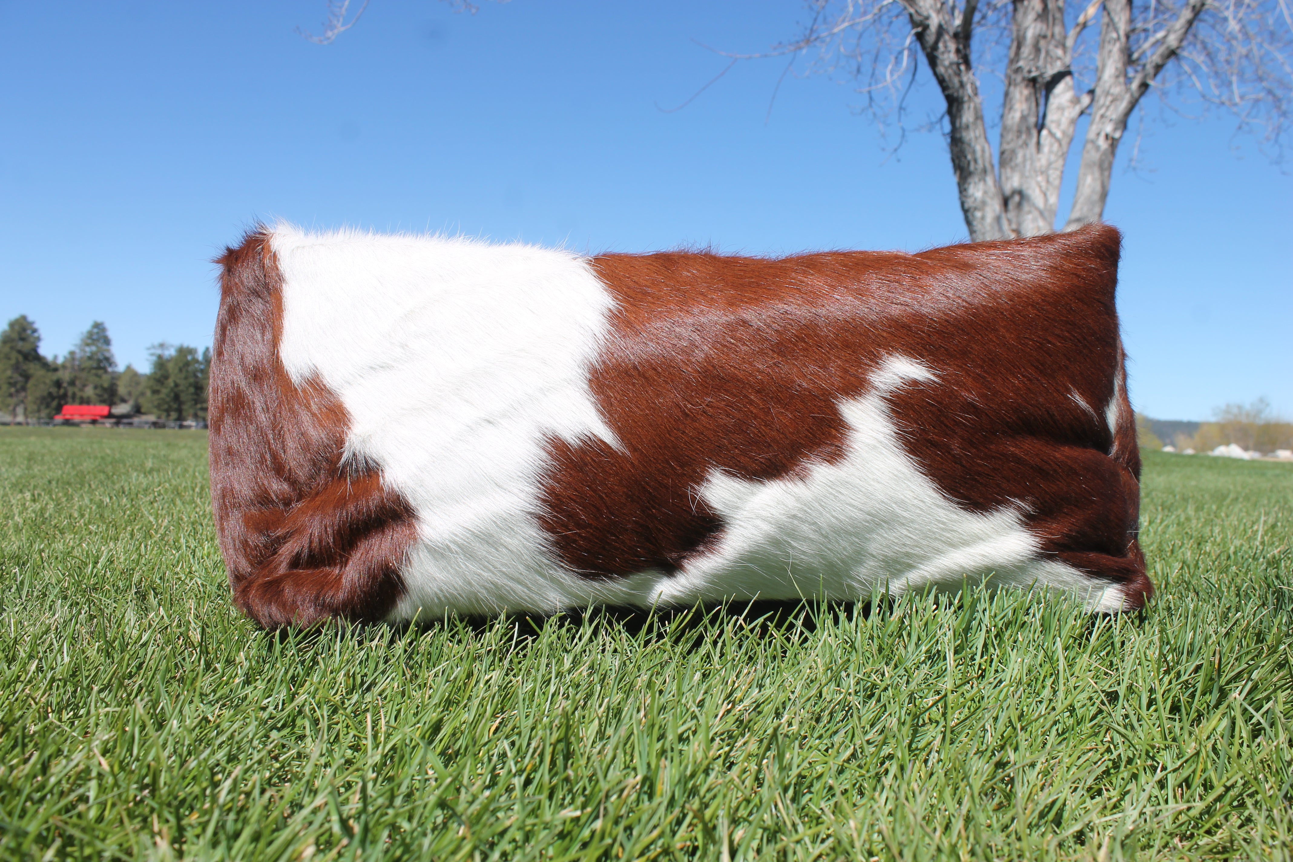 Brown and White Luxury Cowhide Pet Bed, Removable Washable Cushion