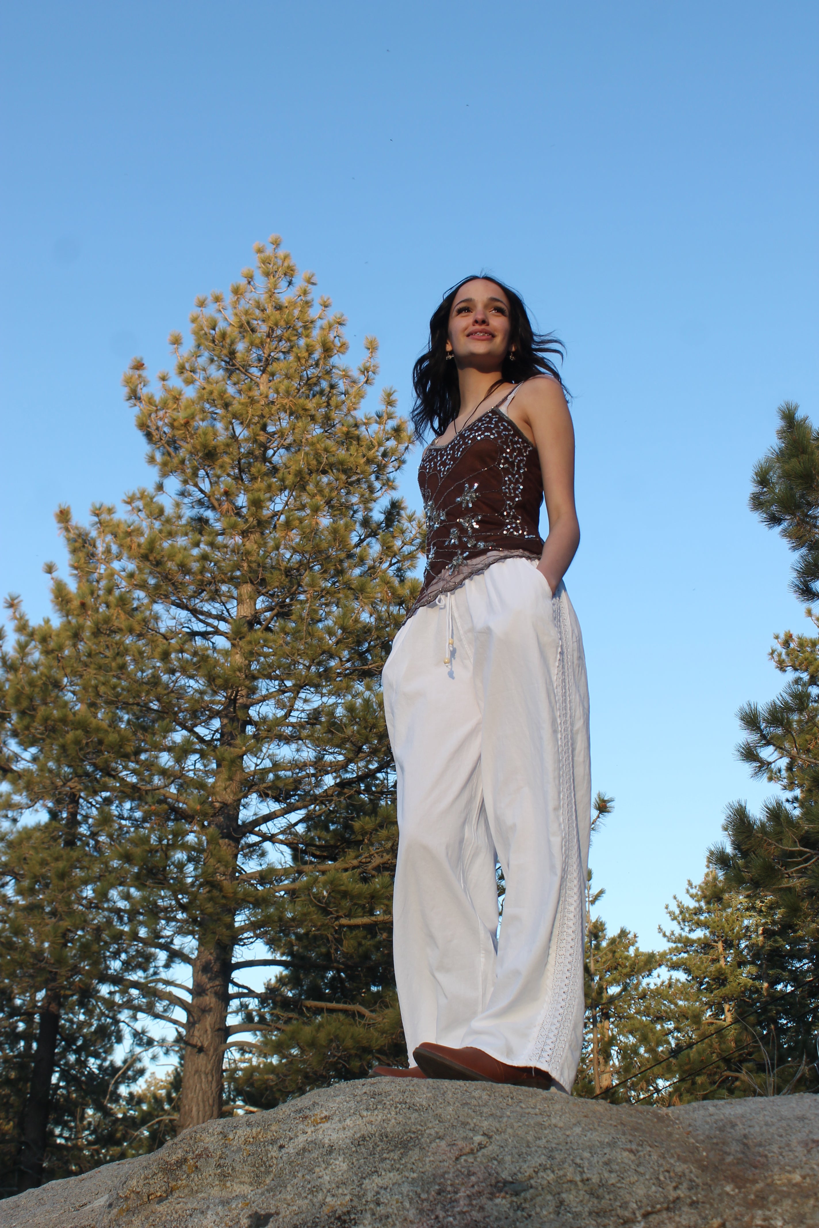 Vintage Brown with Silver Sequin Mesh Top