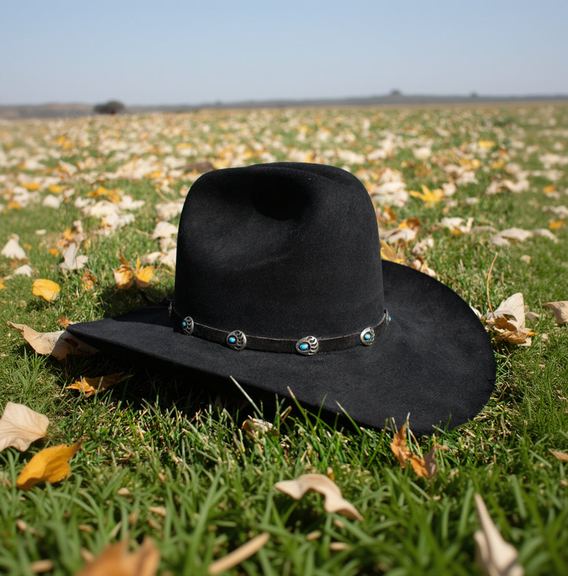 Black XXXX Stetson Cowboy Hat Featuring a Leather Band