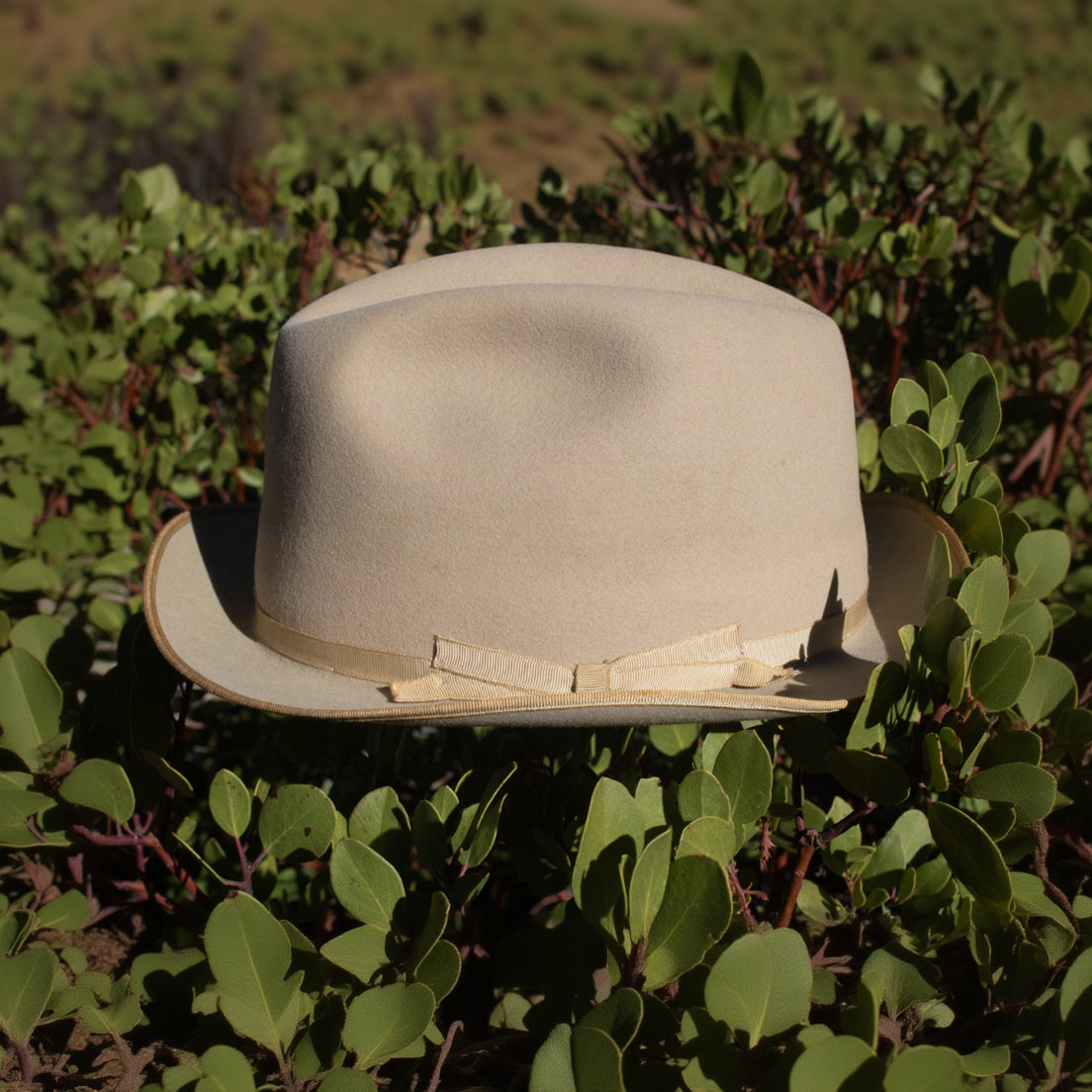 Vintage 1940s John B. Stetson Company Hat Royal DeLuxe Stetson Mathew and Miller Size 7
