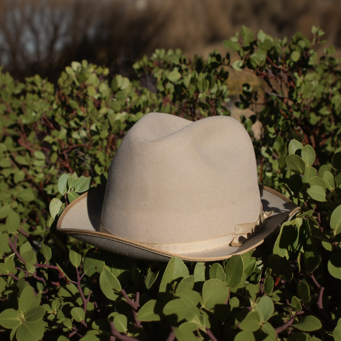 Vintage 1940s John B. Stetson Company Hat Royal DeLuxe Stetson Mathew and Miller Size 7