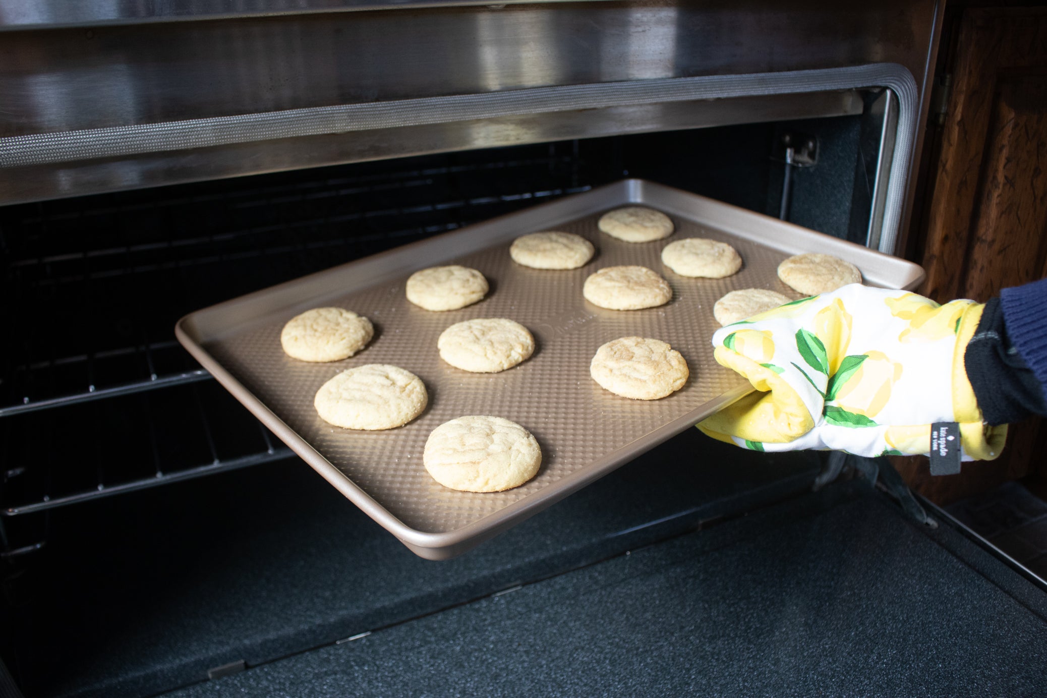 David Burks- cookie sheet set- 2 piece 11X17" and 10"X 15"