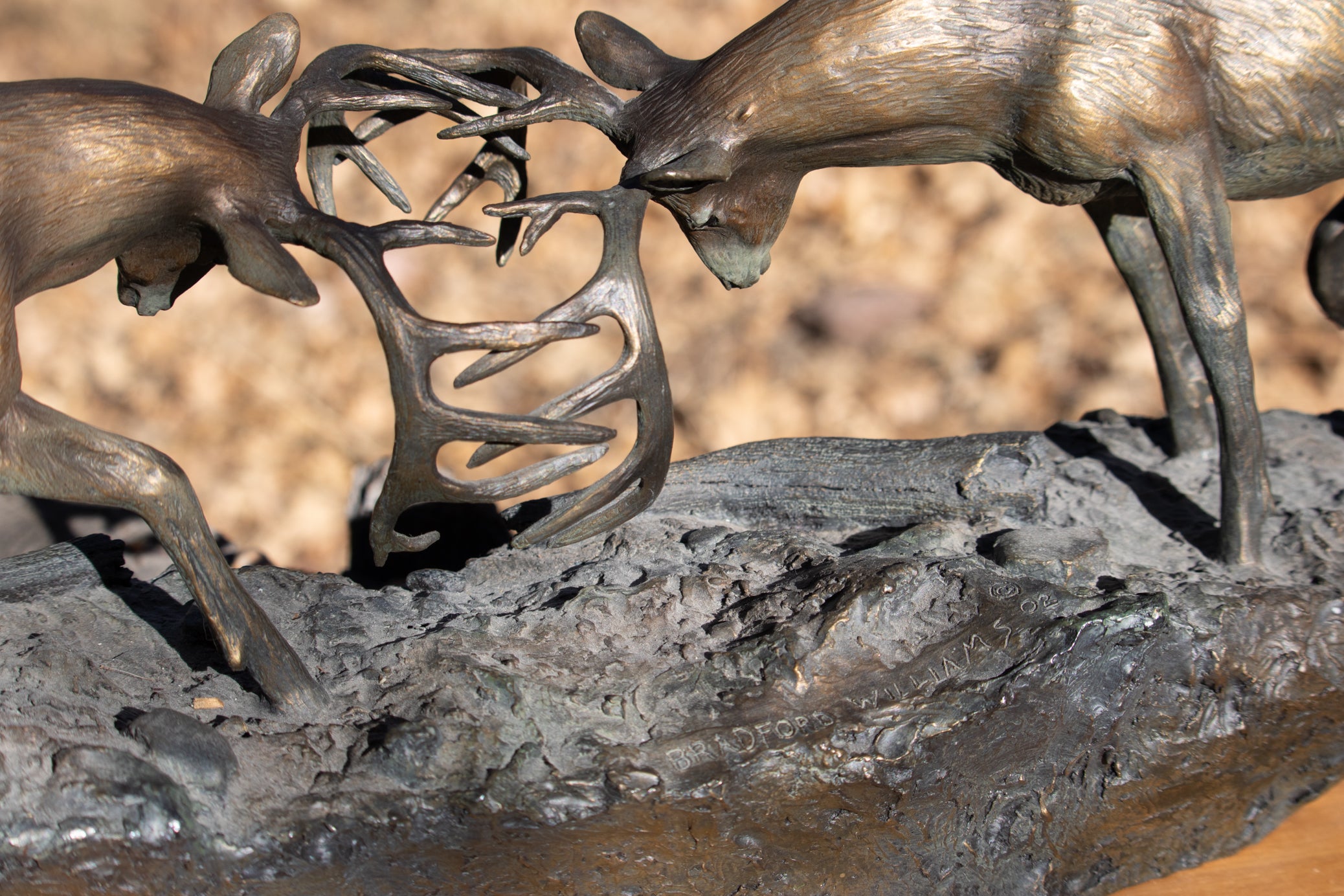 "Dominance II" By  Bradford Williams 85/ 1950.  Bronze sculpture depicts two fighting whitetail bucks