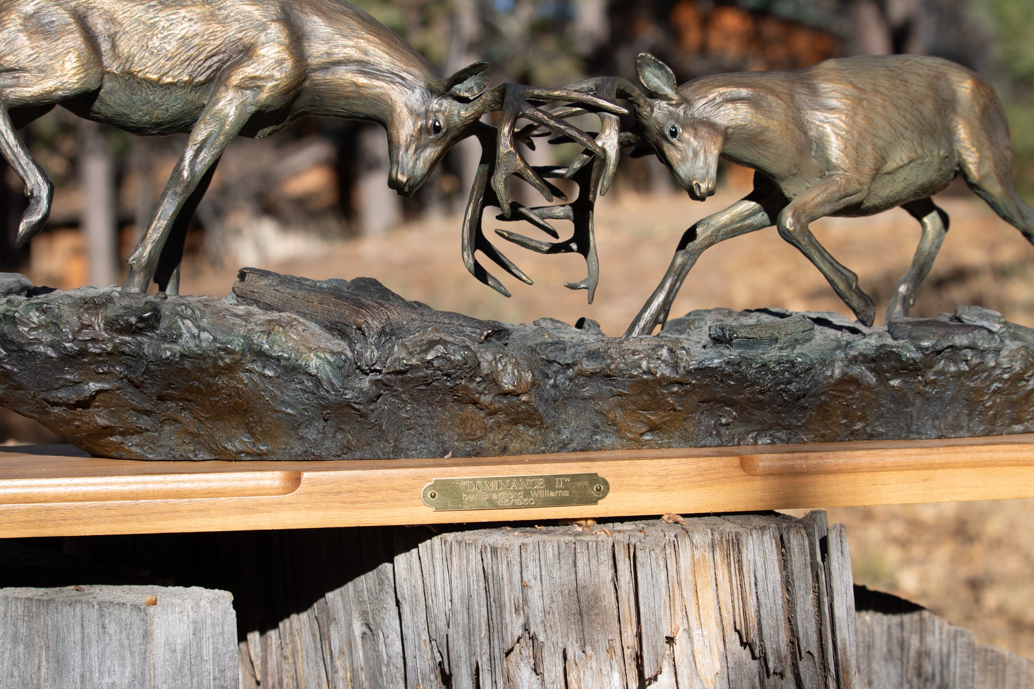 "Dominance II" By  Bradford Williams 85/ 1950.  Bronze sculpture depicts two fighting whitetail bucks