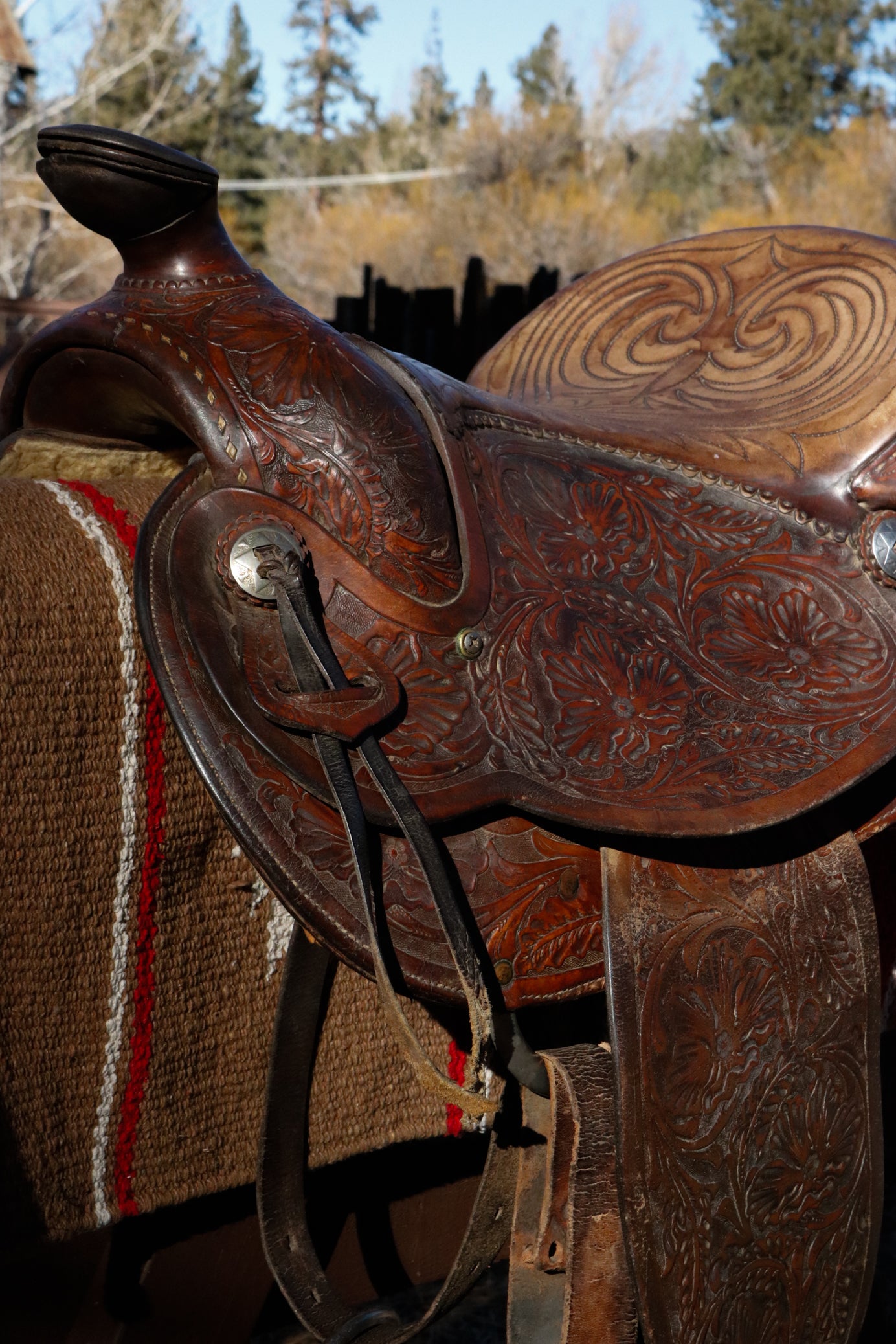 Vintage 1947 Tex Tan Heregord Series 16 inch Western Show Saddle Model Number 3420