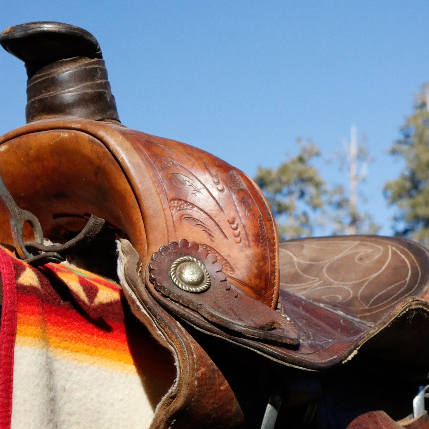 Vintage Lone Star 15 1/4Inch Show Saddle