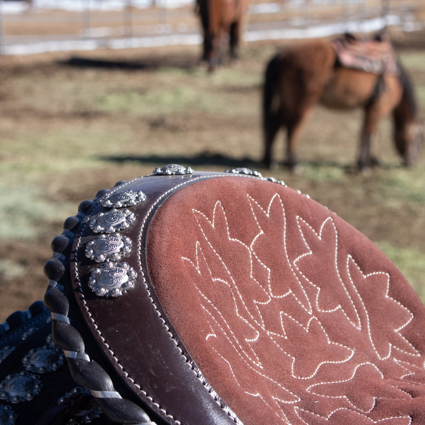 16 Inch Western Show Saddle Model No.1261 Made India