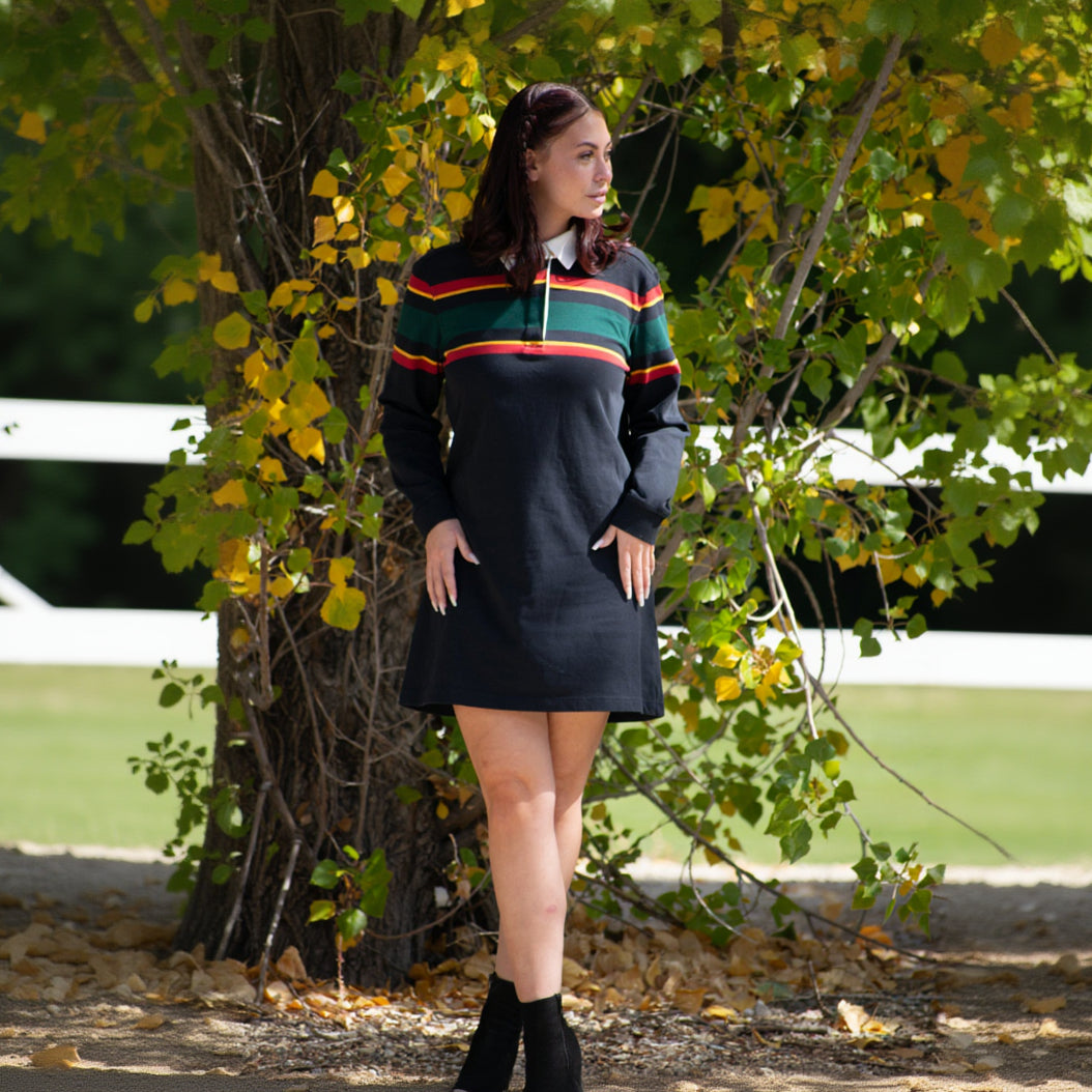 Pendleton Black Multicolored Stripe Rugby Dress Size small