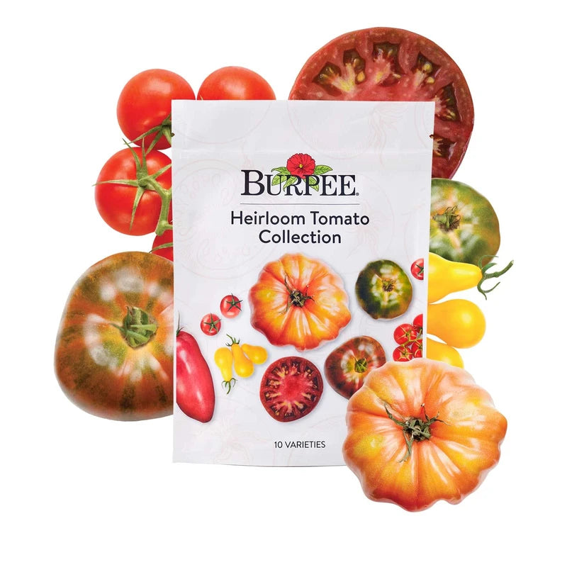 Burpee Heirloom Tomato Collection