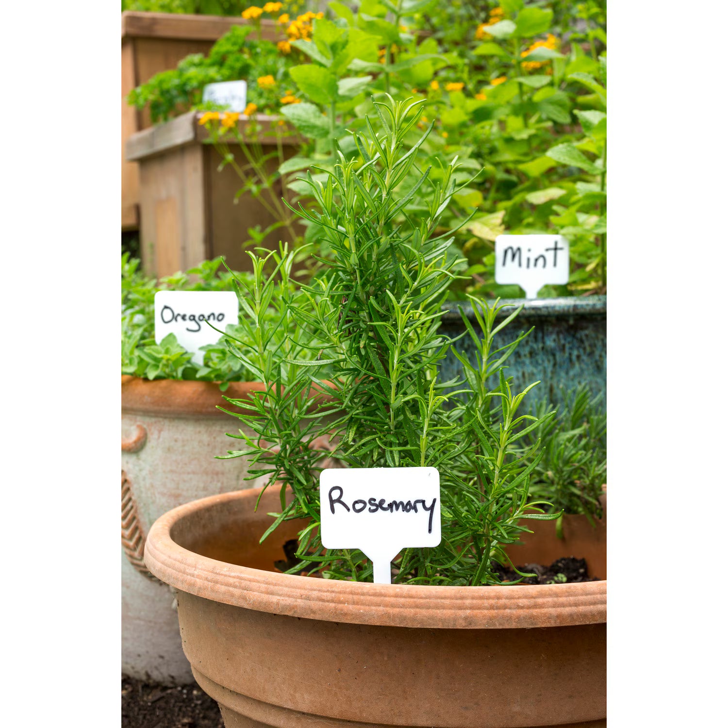 Garden Collection Plant Labels 10 Count
