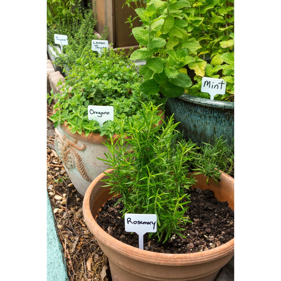 Garden Collection Plant Labels 10 Count