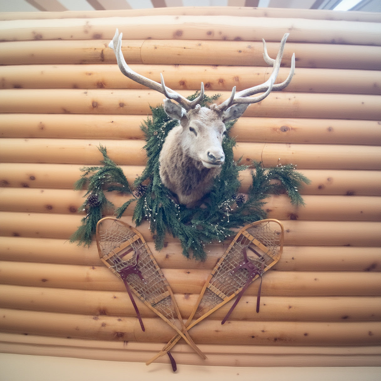 Vintage Elk Head Shoulder Mount Taxidermy Rustic Lodge Cabin Wall Decor