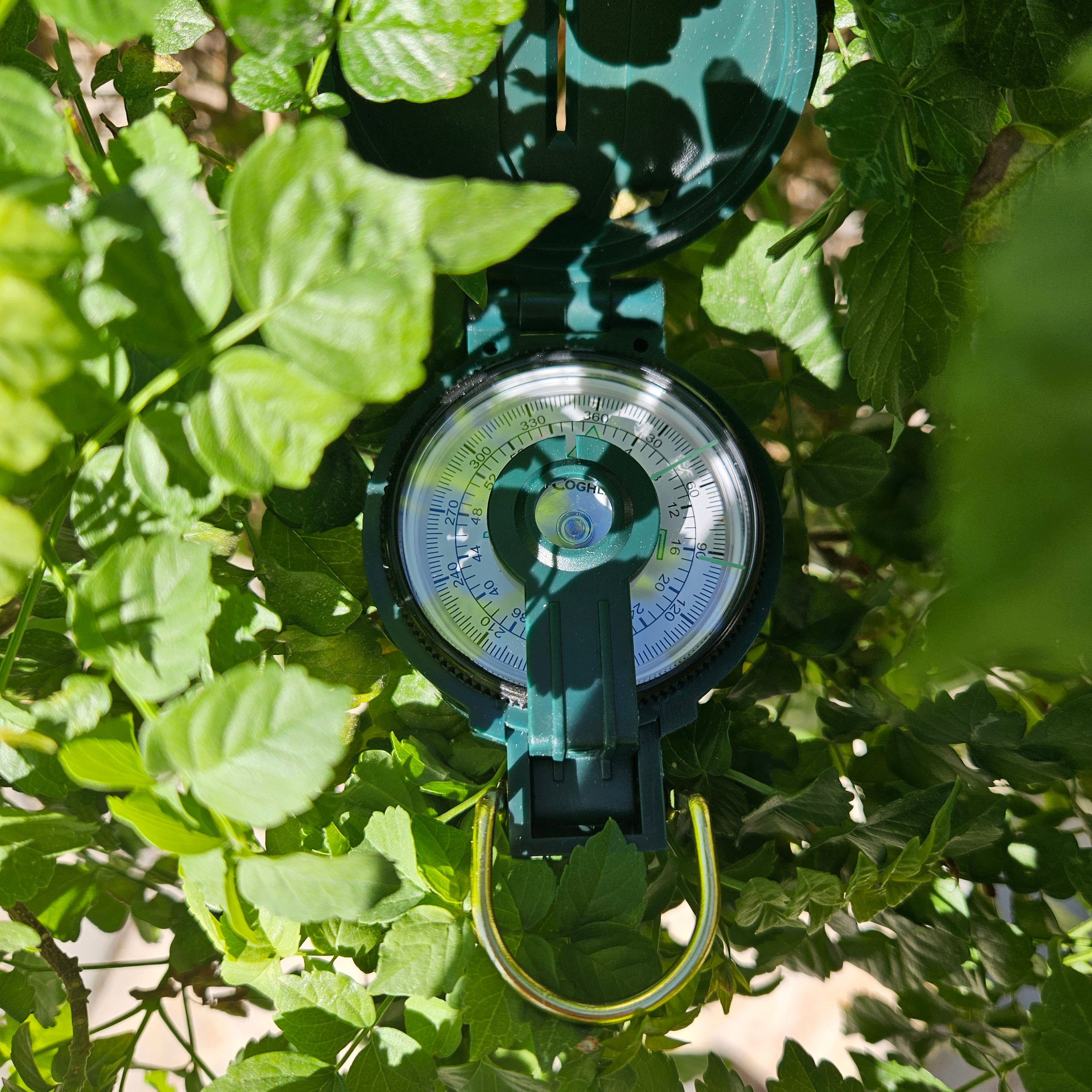 Coghlans Lensatic Compass